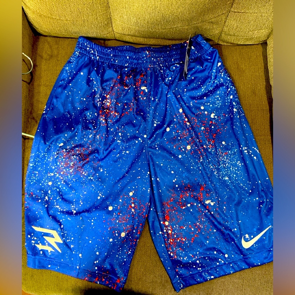Brand new blue Nike shorts size large
